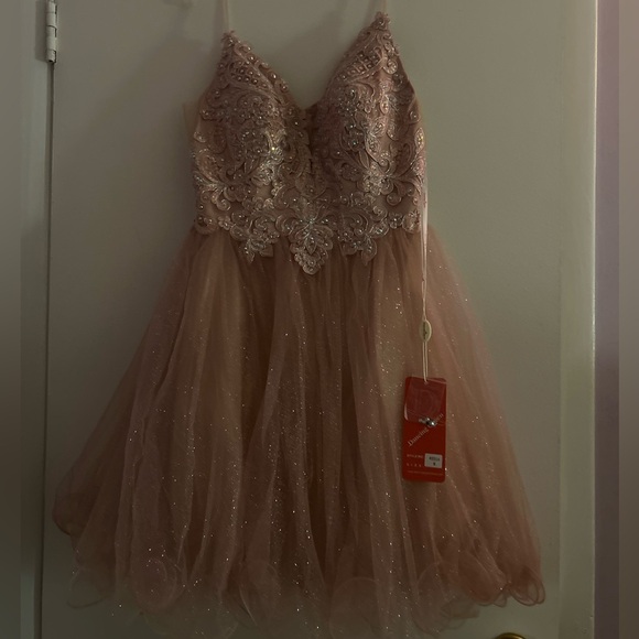 Pink sparkly dress